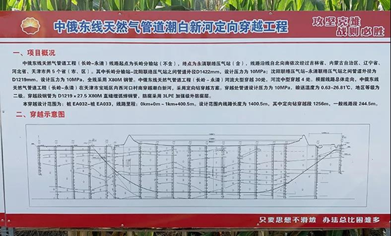 1605699496182625.png 1605699496182625.png