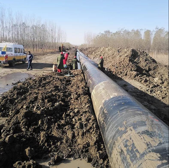 1605699706180932.png 1605699706180932.png