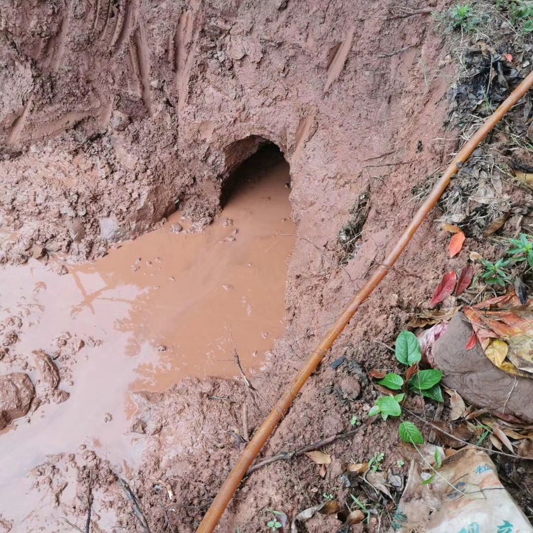 1612496081399404.jpg 6.jpg